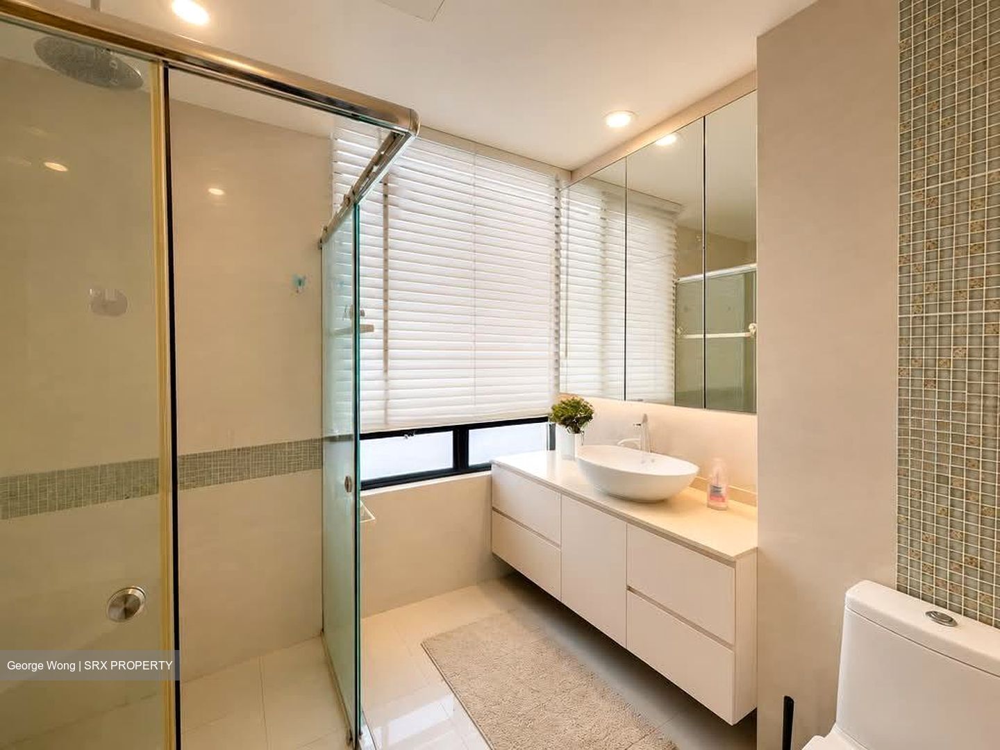 The Sterling (D21), Condominium #577085511
